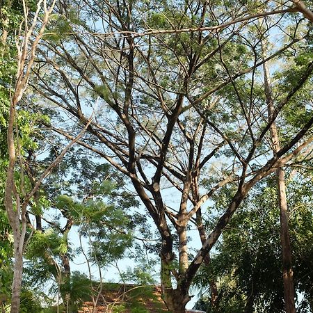 Rumah Jah Langkawi Pantai Cenang  Exterior foto
